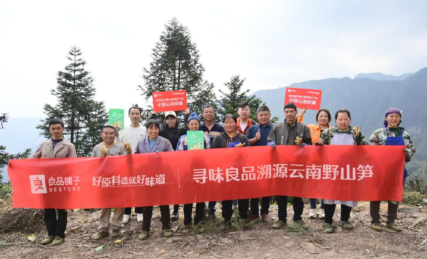 好原料造就好味道，良品鋪?zhàn)右吧焦S來(lái)自云南深山“筍中之冠”